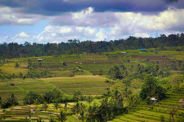 Naklejka premium The amazing island of Bali.