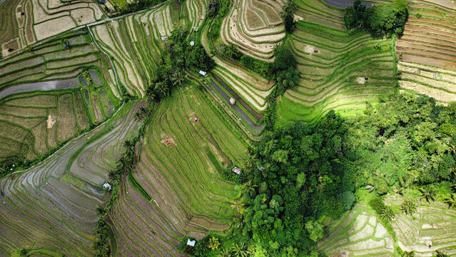 The amazing island of Bali.