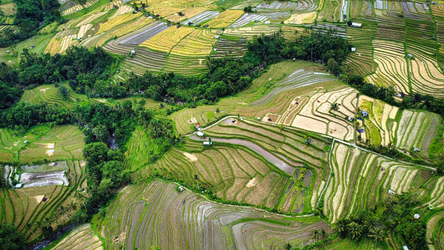 The amazing island of Bali.