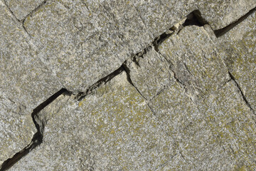 Big crack on gray wall with moss, abstract image of diagonal cleft, background texture. Close-up. Copy space. Selective focus.