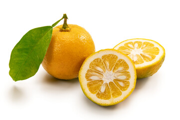 Fototapeta na wymiar 日本のフルーツ、橙