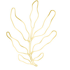 Gold Leaf Illustration