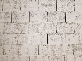 Fototapeta premium Muro