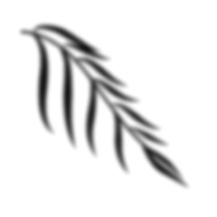 Leaf Shadow Illustration