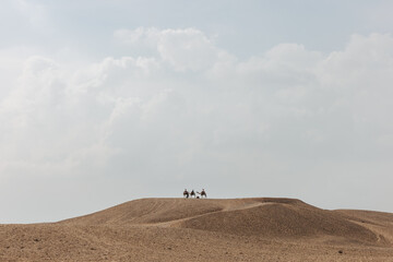Fototapeta na wymiar Silhouette of people riding camels on a sand dune in Giza, Egypt