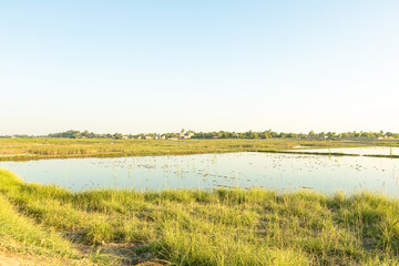 rain and flood disaster in pakistan