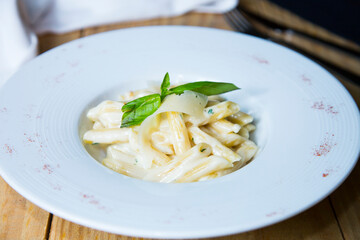 Italian pasta with cheese sauce. Traditional recipe from the city of Rome.