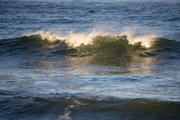 Ocean Waves near the shore