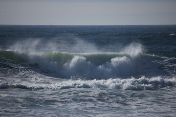 Ocean Waves near the shore
