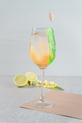 Gin tonic lemon cocktail drink with dry gin, bitter tonic, juice, thyme and ice, bar tools.