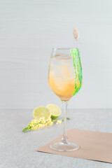 Gin tonic lemon cocktail drink with dry gin, bitter tonic, juice, thyme and ice, bar tools.