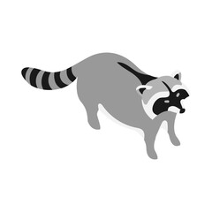 Raccoon Isometric Illustration © Macrovector