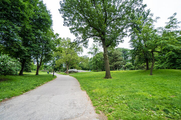 Typical path in Central Park, New York City, USA
