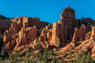 Orange colour Bryce Canyon sand dunes and canyons in sunset, Bryce national park, USA 