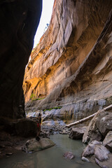 Vertical photo of the Narrows trail in Zion National Park, close walls canyon and small river in bottom