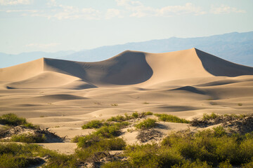 Fototapeta na wymiar Desert dunes in Death Valley in USA 