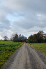 Country road between green meadows and a cloudy sky
