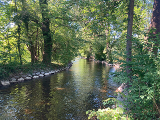 557730973 Flusslandschaft an der Würm Flussbiegung links