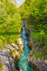 Fototapeta na wymiar Great Soca Gorge (Velika korita Soce), Triglavski national park, Slovenia
