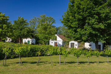 Traditional wine cellars street (kellergasse) in Ungerndorf, Lower Austria, Austria