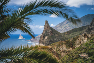 Mountain landscape ocean coastline and palm tree branches. Roque de las Animas crag in Anaga park,...