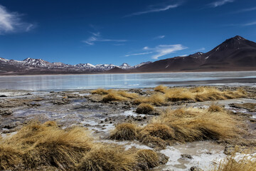 Laguna Blanca, Bolivien