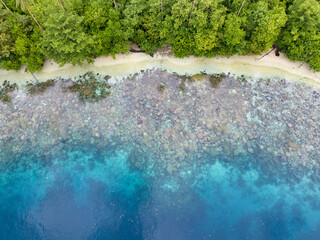A lush, tropical island is fringed by a coral reef in the Solomon Islands. This beautiful country...