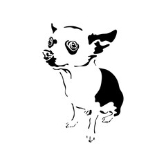 Vector illustration of a hand drawn silhouette of a chihuahua. Black dog template. Isolated on white background.