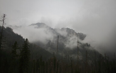misty cloudy day in the mountains