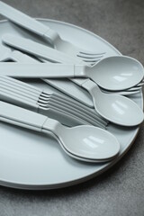 Plastic kitchen set. fabric dishes, plates and forks