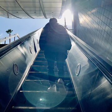Anonymous person, silhouetted by bright sunlight, with lens flares, as they ride an escalator up from an LA Metro Station in Los Angeles. Palm tree in background