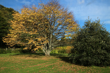 Leith Hall - Kennethmont - Aberdeenshire - Scotland