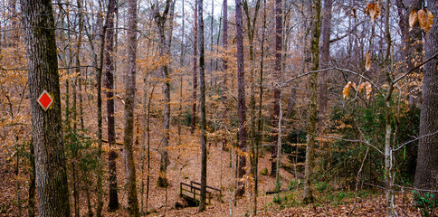 High Falls State Park, GA