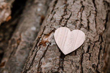 Obraz premium heart on wood