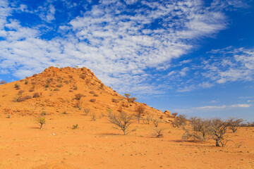 Plakat Namibian landscape Damaraland, homelands in South West Africa, Namibia.