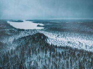 Finland Lake and Forest in Snow Drone