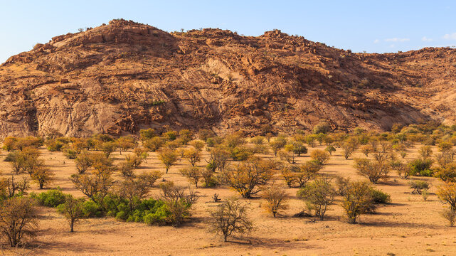 รูปภาพBantustan เลือกดูภาพถ่ายสต็อก เวกเตอร์ และวิดีโอ128 Adobe Stock