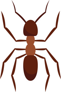 Pest ant icon. Flat illustration of Pest ant vector icon for web design isolated