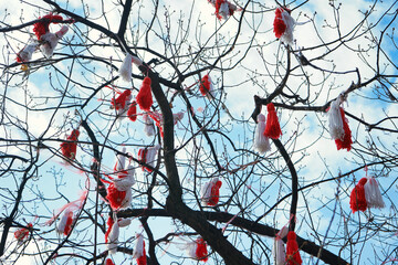 Red and white beautiful martenitsa hanging on the branches of the blooming tree. Martenitsa is used in Bulgaria and Romania for beginning of spring celebration.