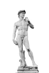 Renaissance  statue of David by Michelangelo isolated - 557748392