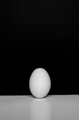 White egg on black background 