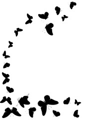 Fototapeta na wymiar Flock of silhouette black butterflies on white background. Vector