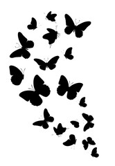 Obraz na płótnie Canvas Flock of silhouette black butterflies on white background. Vector