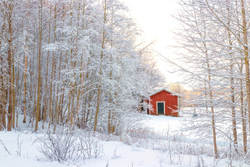 house in the snow