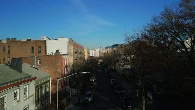 Forwards fly above street lined by bare trees and buildings. Sunny autumn day in large city. New York City, USA