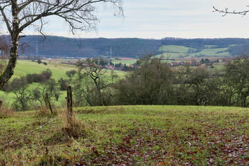 Row of trees at the edge of the Palatinate Forest overlooking hills and fields with green grass on an autumn day in Germany.