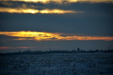 Sunset over Corn Field