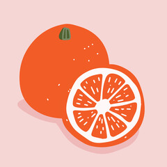 Oranges. Orange illustration. Element for different designs