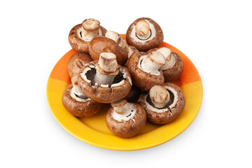 Mushrooms on white. Top view mushrooms in a plate isolated on white