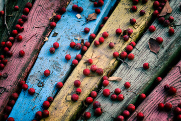 Red berry on a wooden background
